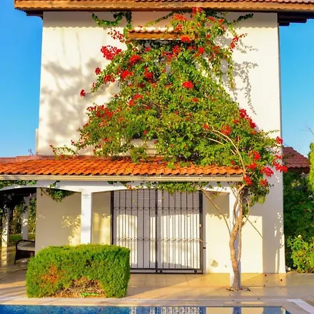 Gorgeous Secluded With Private Pool And Bbq